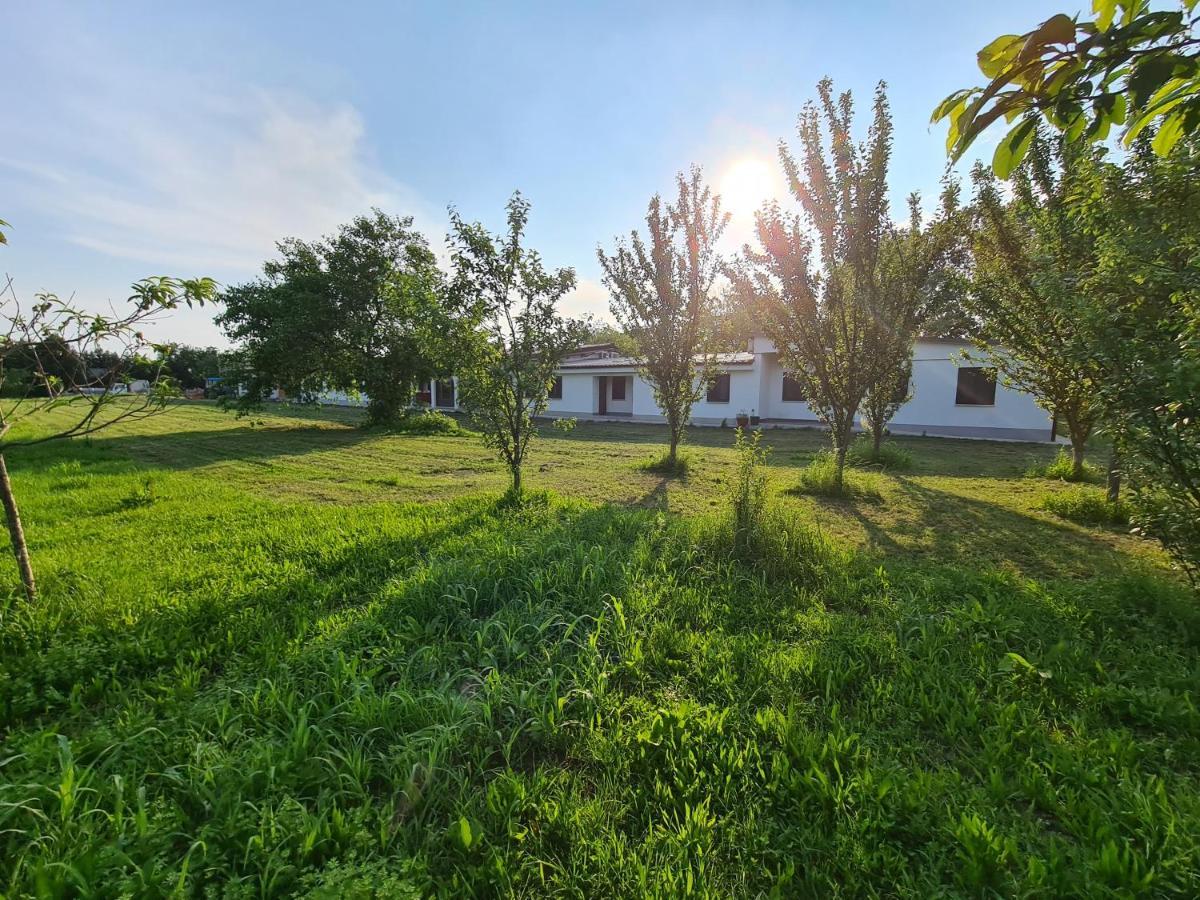 Agriturismo Ca Novak Venezia Spinea Exteriér fotografie